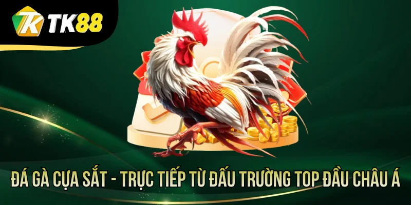 Đá Gà Cựa Sắt - Trực Tiếp Từ Đấu Trường Top Đầu Châu Á