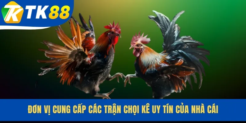 Đơn vị cung cấp các trận chọi kê uy tín của nhà cái