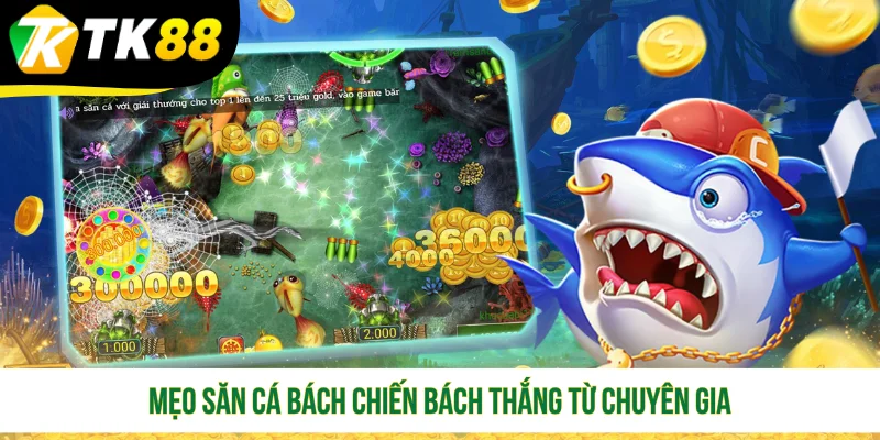 Mẹo săn cá bách chiến bách thắng từ chuyên gia