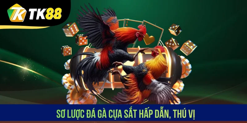 Sơ lược đá gà cựa sắt hấp dẫn, thú vị