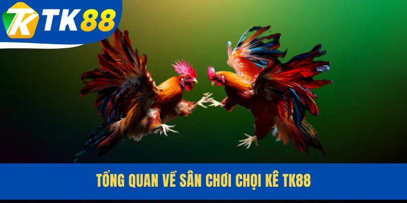 Tổng quan về sân chơi chọi kê TK88