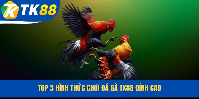 Top 3 hình thức chơi đá gà TK88 đỉnh cao