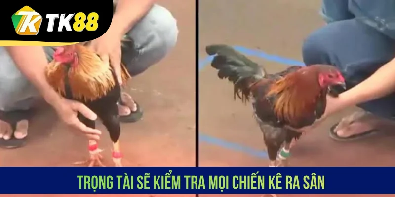 Trọng tài sẽ kiểm tra mọi chiến kê ra sân